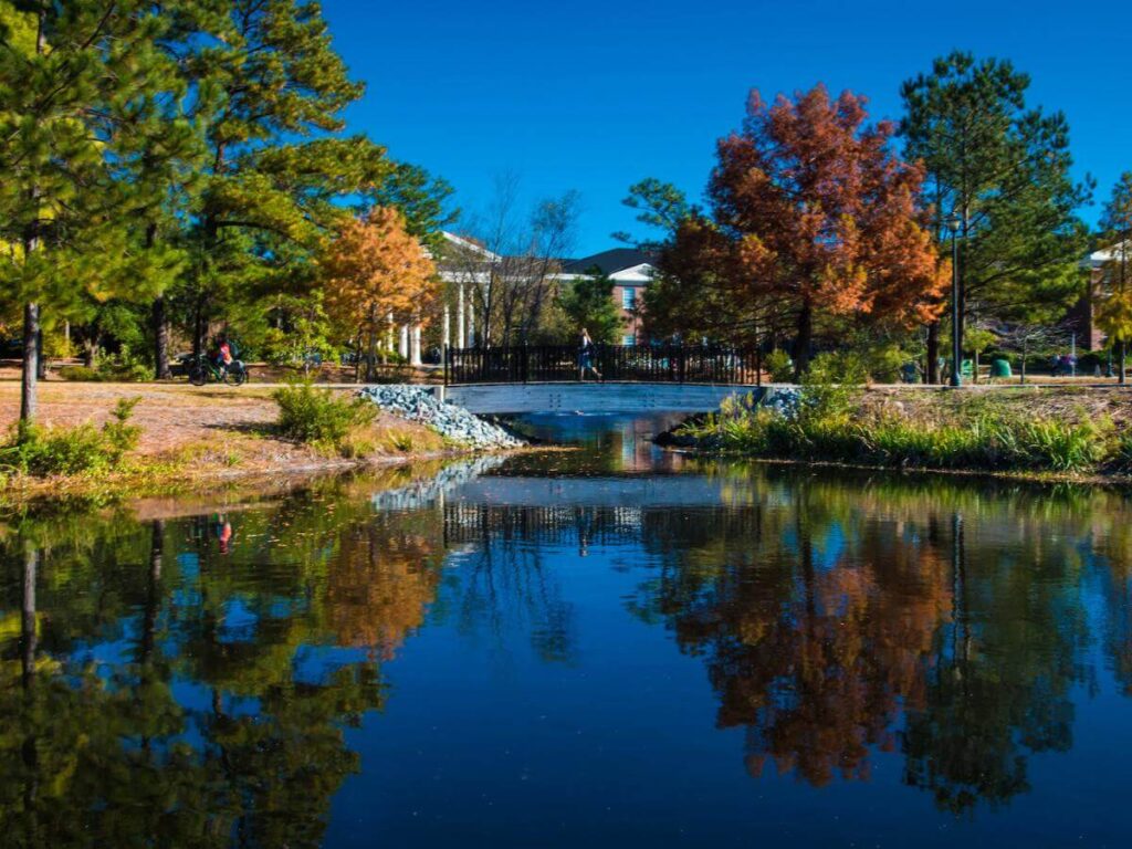 UNC Wilmington Social Work Programs UNC Wilmington Social Work Programs